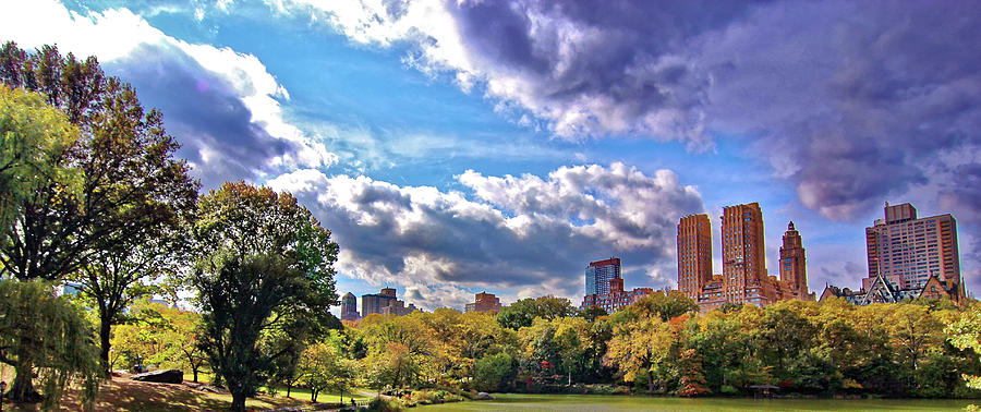 Central Park #3 Photograph by Doolittle Photography and Art