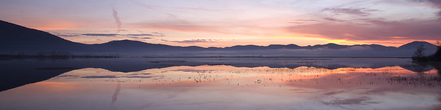 Cerknica lake at dawn #2 Photograph by Ian Middleton