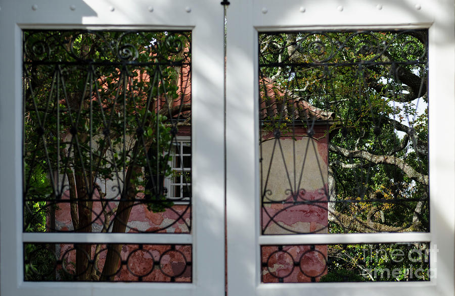 Charleston Window Photograph
