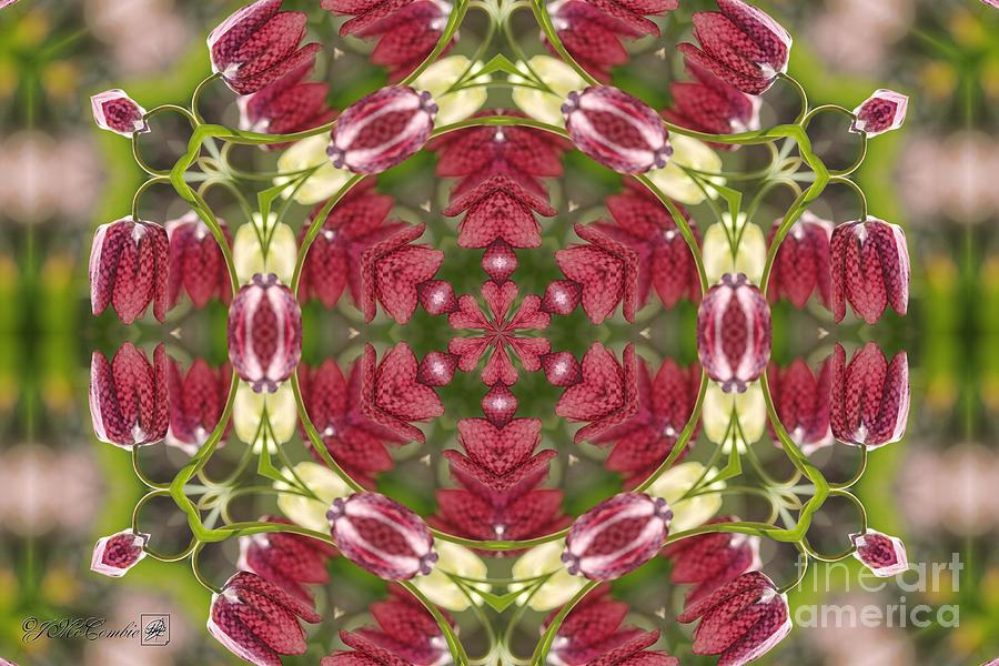 Checkered Lilies Mandala #1 Digital Art by J McCombie