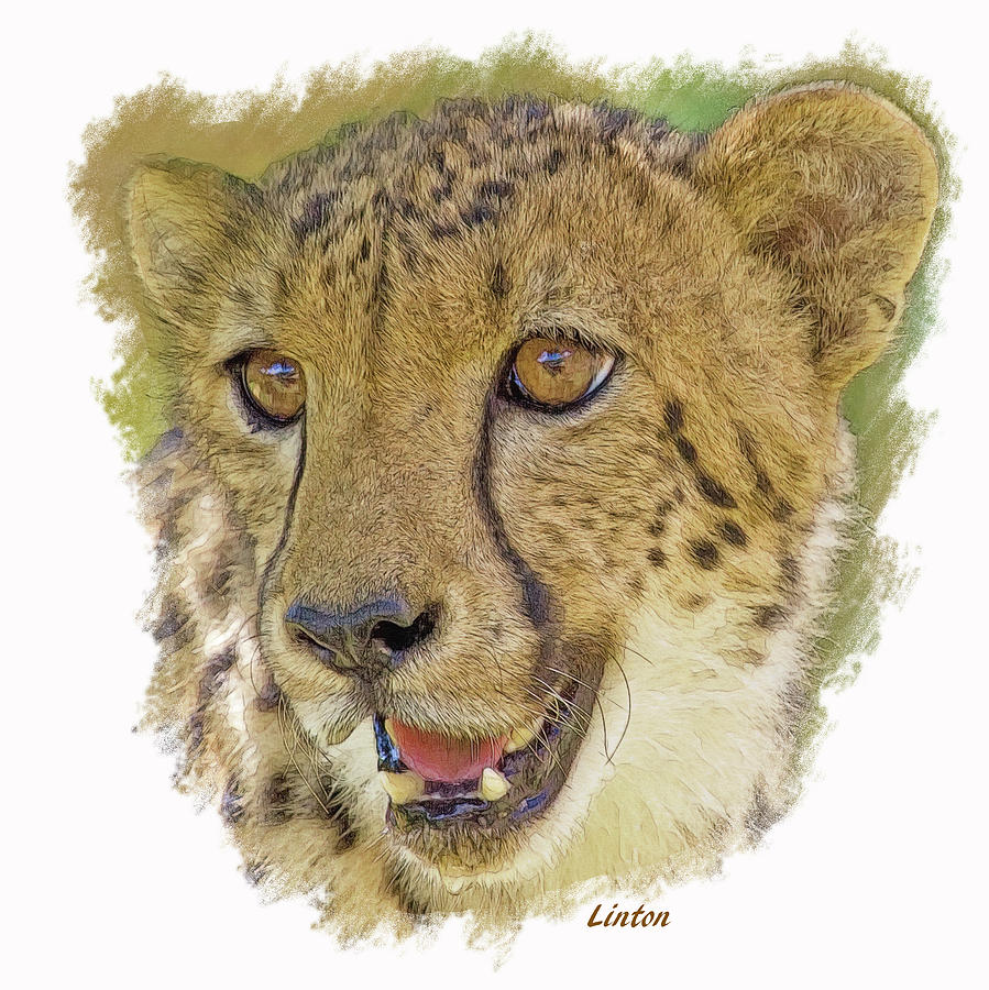 Cheetah #2 Digital Art by Larry Linton