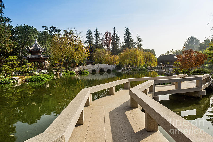 Tree Photograph - Chinese Garden at the Huntington Library. #2 by Jamie Pham