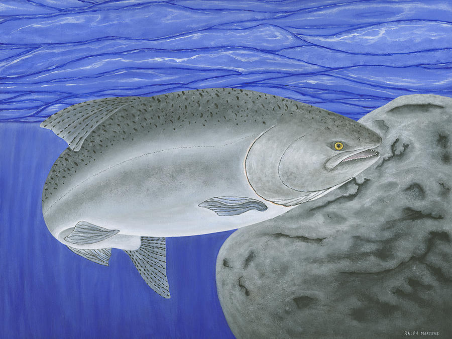 Salmon Painting - Chinook Salmon by Ralph Martens