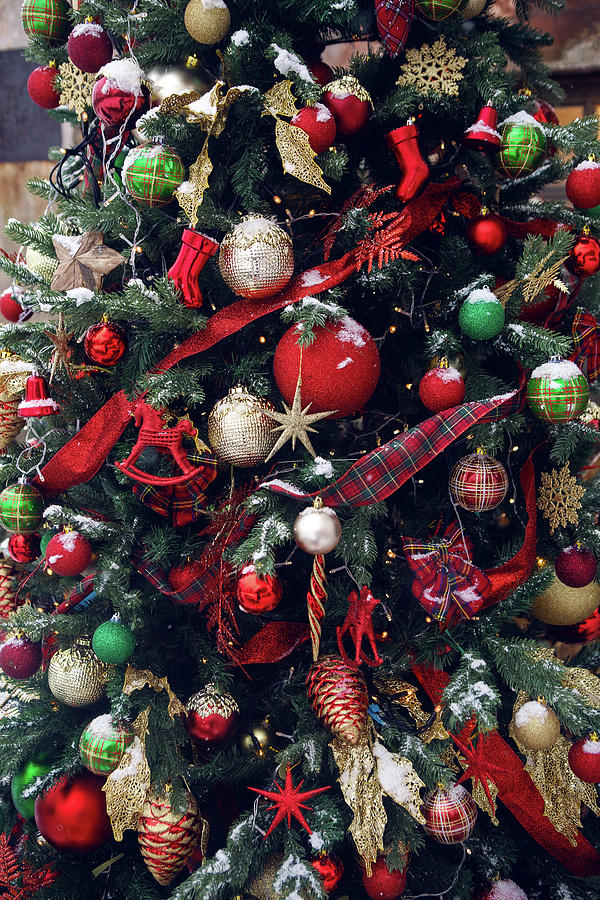 Christmas holiday tree Photograph by Elena Saulich - Fine Art America