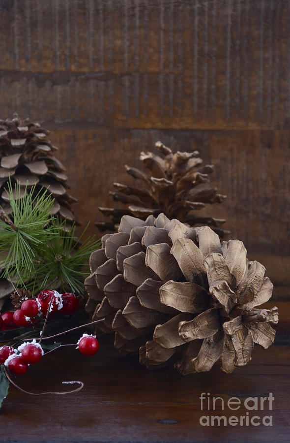 Christmas Pine Cones Decorations #2 Photograph by Milleflore Images