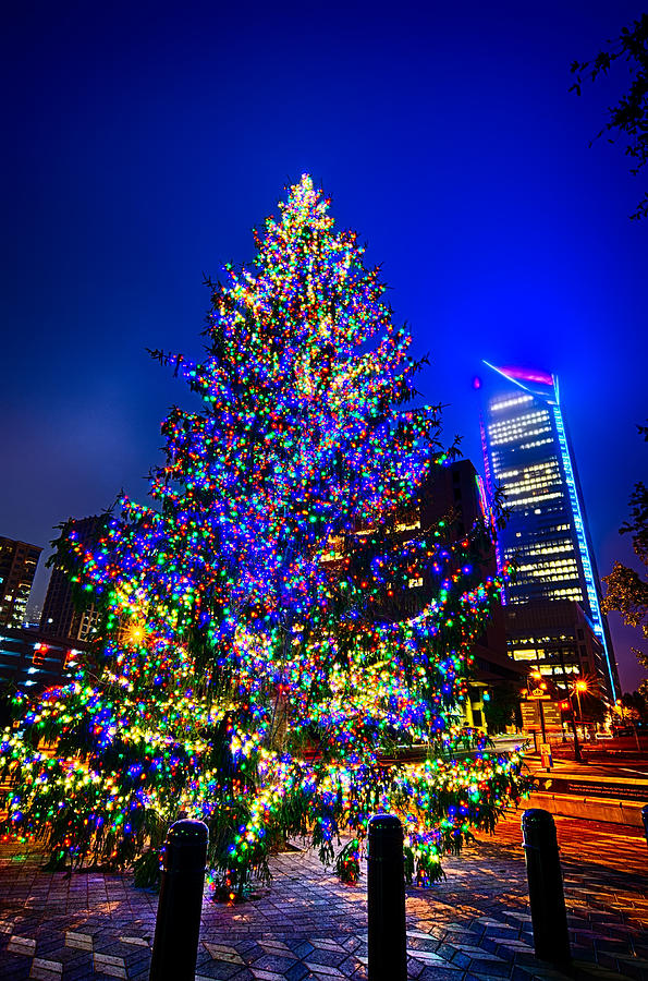 Panthers placing 'boulders' with LED lights around Charlotte in