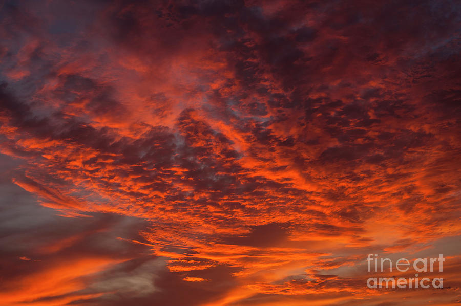 Cirrocumulus Clouds at Sunset #2 Photograph by Jim Corwin