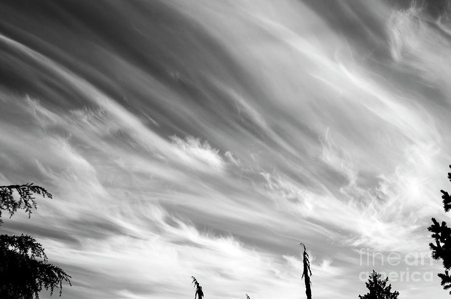 Cirrus Clouds  #2 Photograph by Jim Corwin