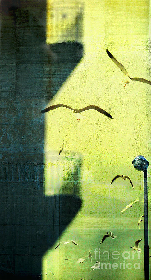 City shadow #2 Photograph by Silvia Ganora