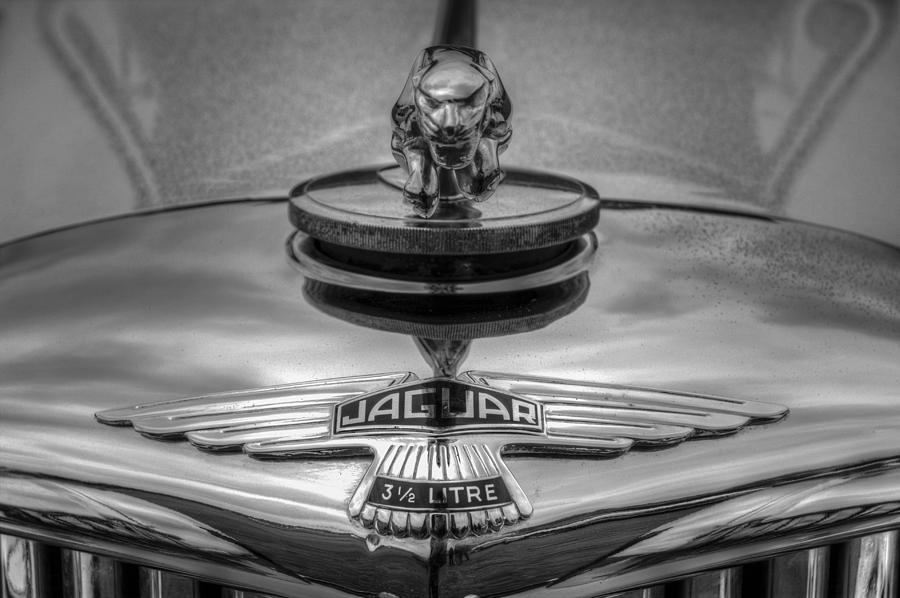 Jaguar Photograph - Classic Jaguar Car by David Pyatt Jaguar Photograph - Classic Jaguar Car by David Pyatt