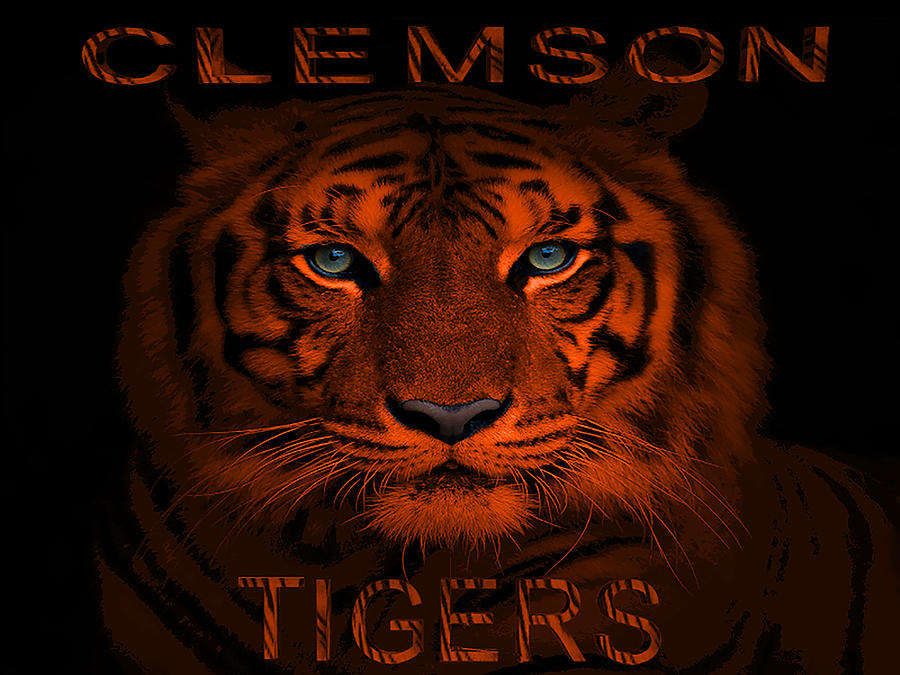 Clemson Tigers Digital Art by Cynthia Leaphart