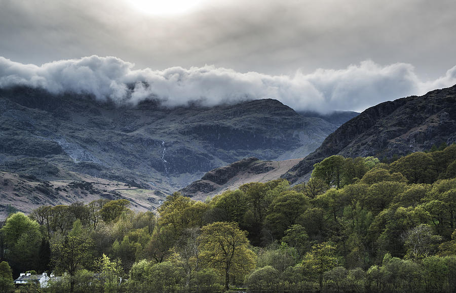 Spring Photograph - Cloud inversion landscape Old Man of Coniston with forest in for #2 by Matthew Gibson