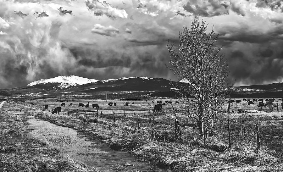 Cloudy Day In Colorado #2 Photograph by Mountain Dreams