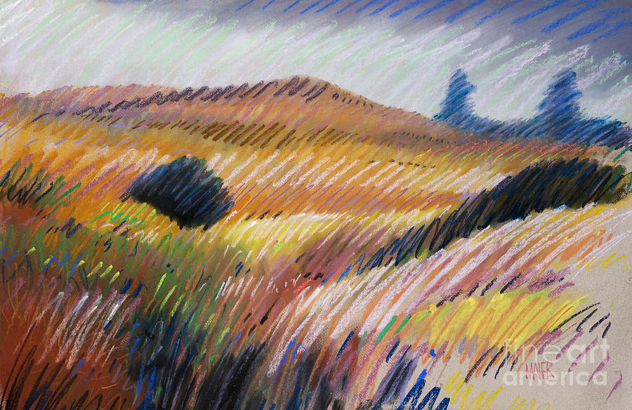 Landscape Drawing - Coastal Hills by Donald Maier