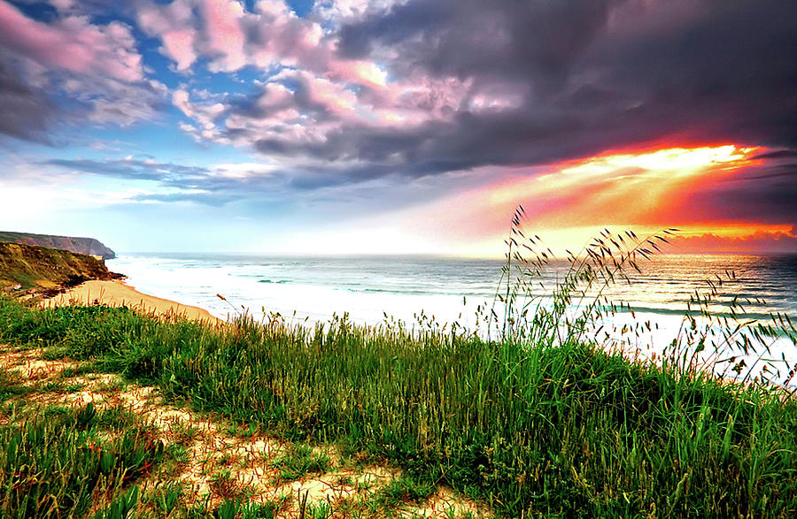 Sunset Digital Art - Coastline #2 by Super Lovely