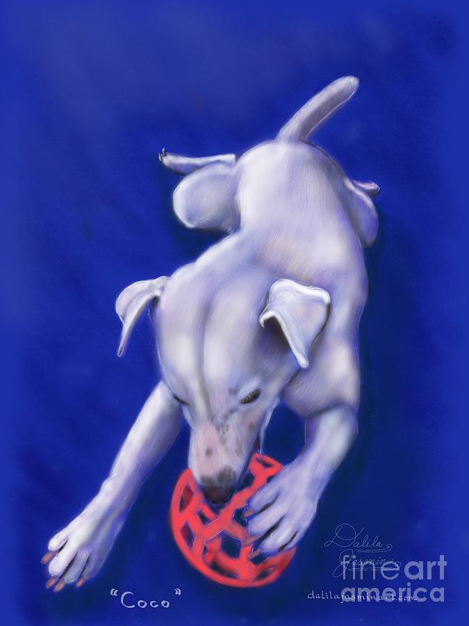 Dog Digital Art - Coco by Dalila Jasmin Dog Digital Art - Coco by Dalila Jasmin