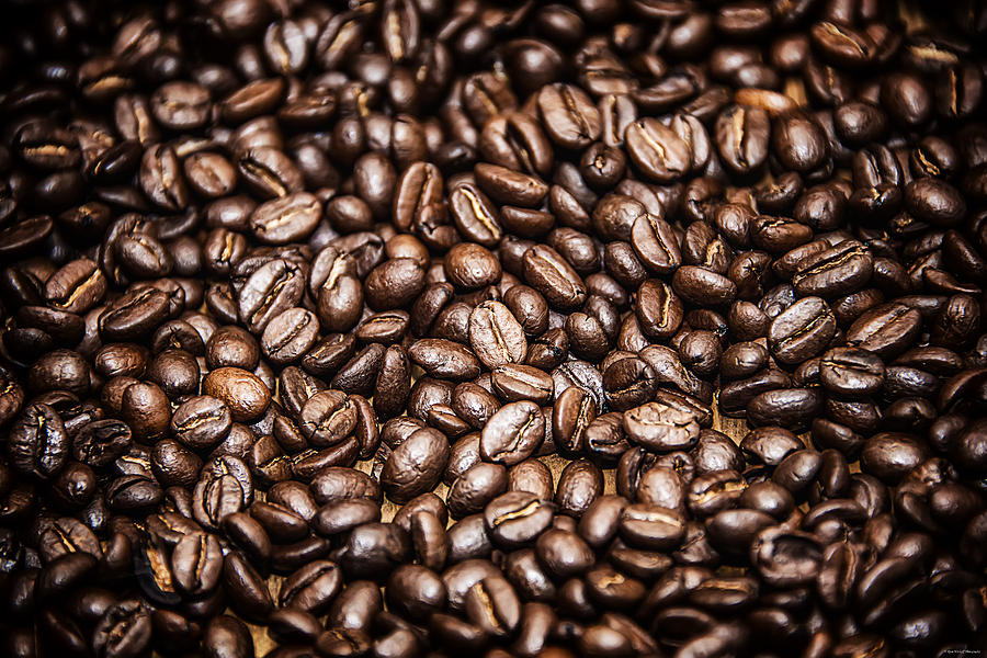 Coffee Beans #2 Photograph by Ryan Wyckoff