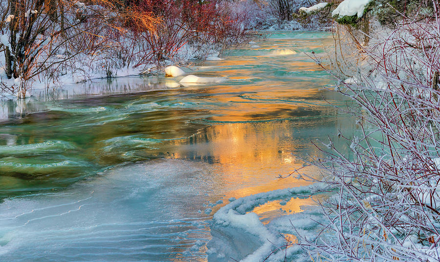 Cool Photograph - Color of Winter #4 by Leland D Howard