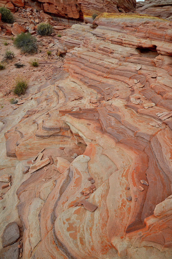 Color Swirls in Valley of Fire State Park #2 Photograph by Ray Mathis