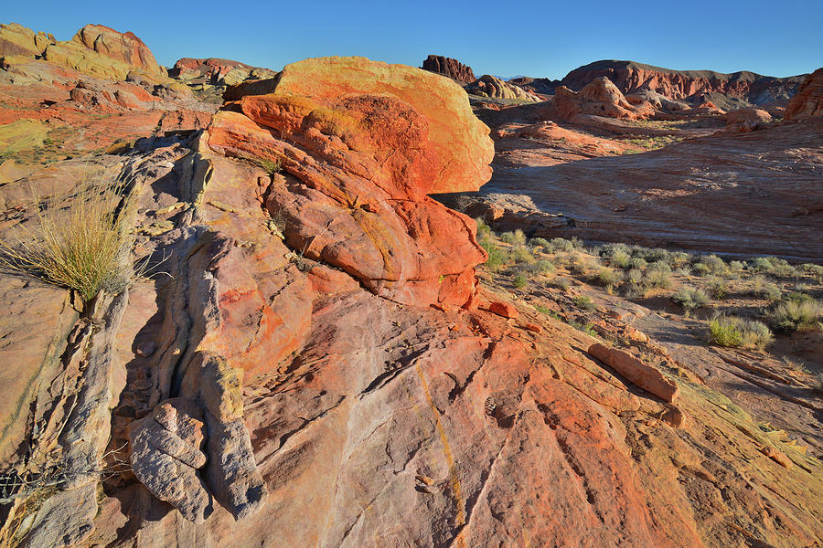 Color Wave in Valley of Fire #2 Photograph by Ray Mathis