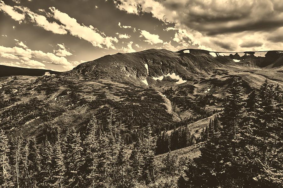 Colorado Timberline #2 Photograph by Mountain Dreams