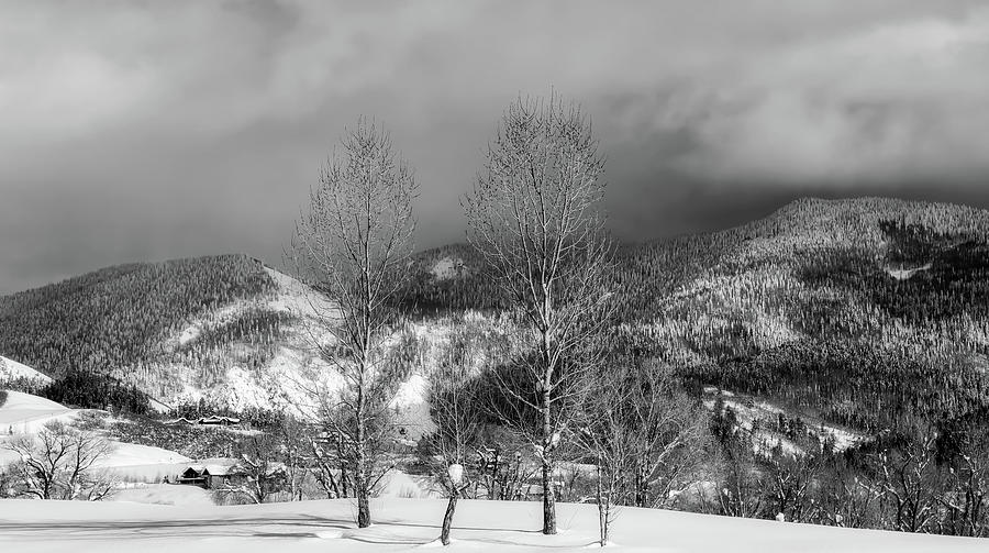 Colorado Winter Wonderland #2 Photograph by Mountain Dreams