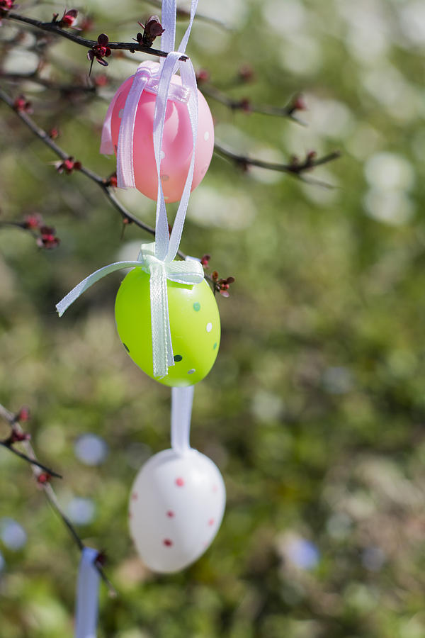 Easter Photograph - Colorful Easter eggs hanging on branches outdoors with white flo #2 by Newnow Photography By Vera Cepic