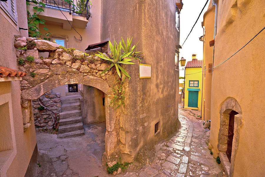 Colorful paved street of old adriatic town Vrbnik #2 Photograph by Brch Photography