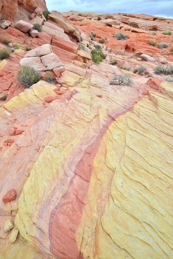 Colorful Sandstone in Valley of Fire #2 Photograph by Ray Mathis