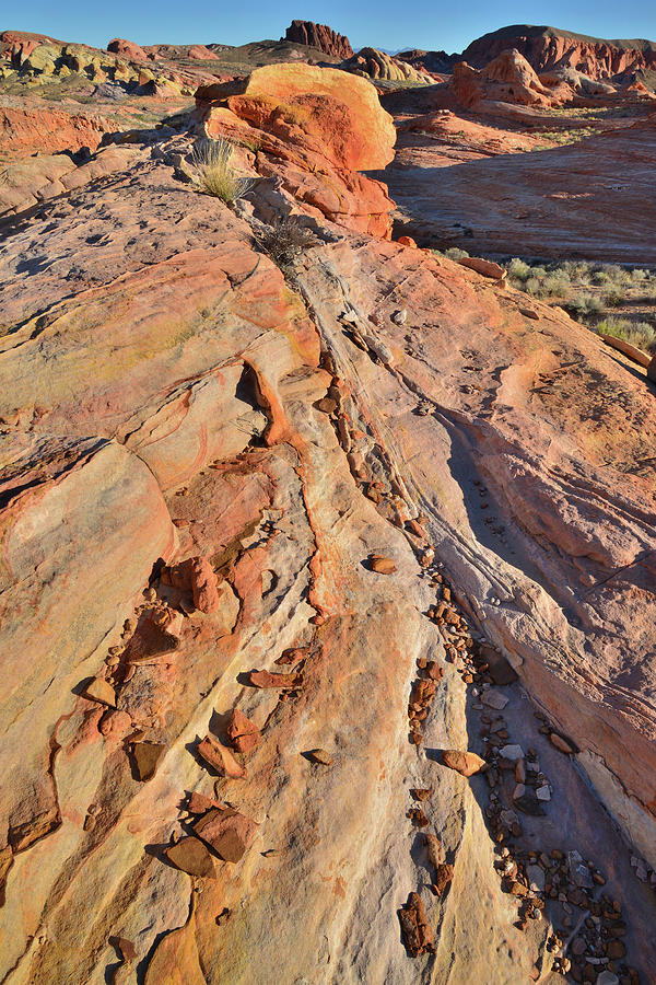 Colorful Sandstone of Valley of Fire #1 Photograph by Ray Mathis