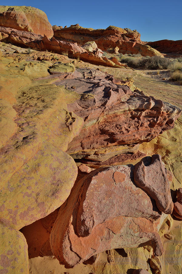 Colorful Sandstone of Wash 3 in Valley of Fire #2 Photograph by Ray Mathis