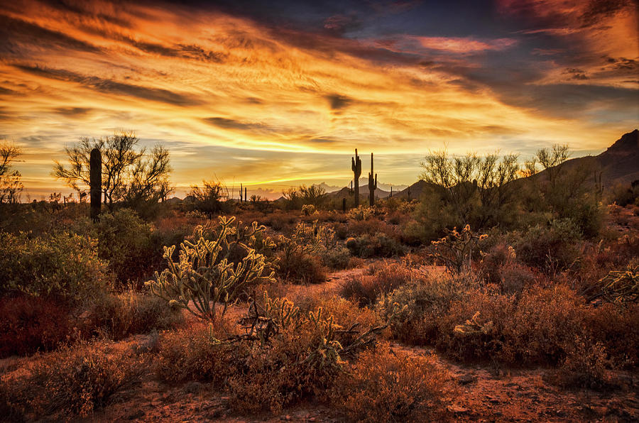Colorful Sonoran Skies  #3 Photograph by Saija Lehtonen