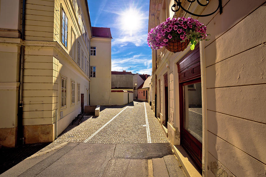 Colorful street of baroque town Varazdin view #2 Photograph by Brch Photography