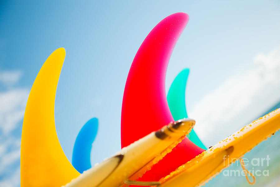 Colorful Surfboard Fins #2 Photograph by Dana Edmunds - Printscapes