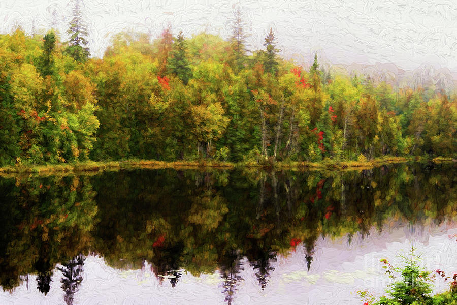 Colorful trees reflected in a lake #2 Digital Art by Les Palenik