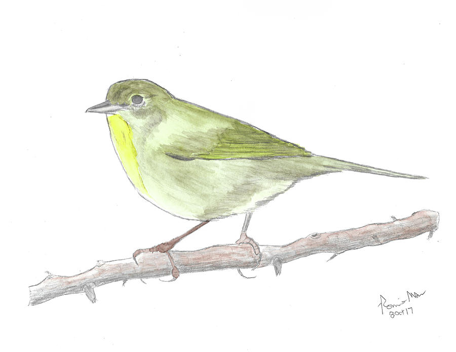 Warbler Mixed Media - Common Yellowthroat #2 by Ronnie Maum
