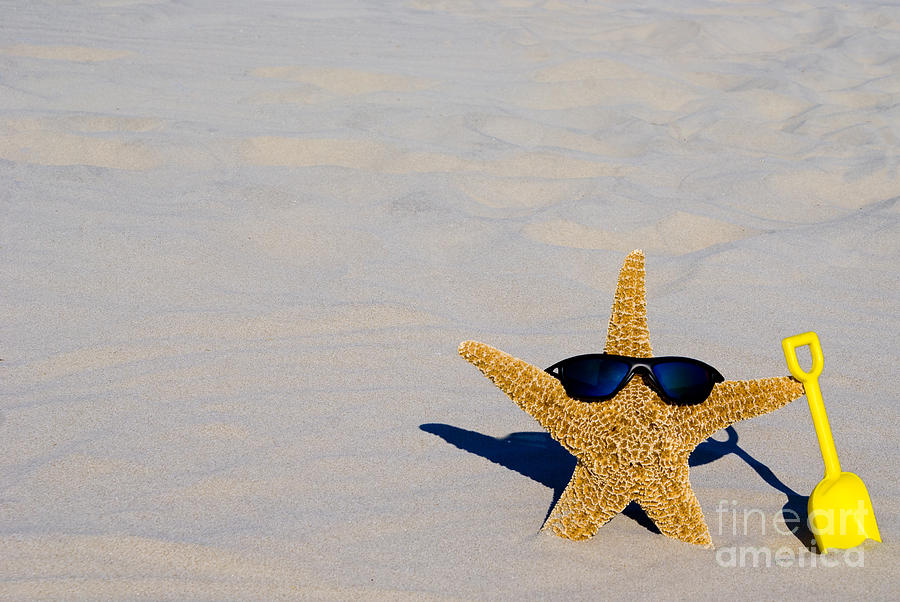 Cool Starfish #2 Photograph by Anthony Totah