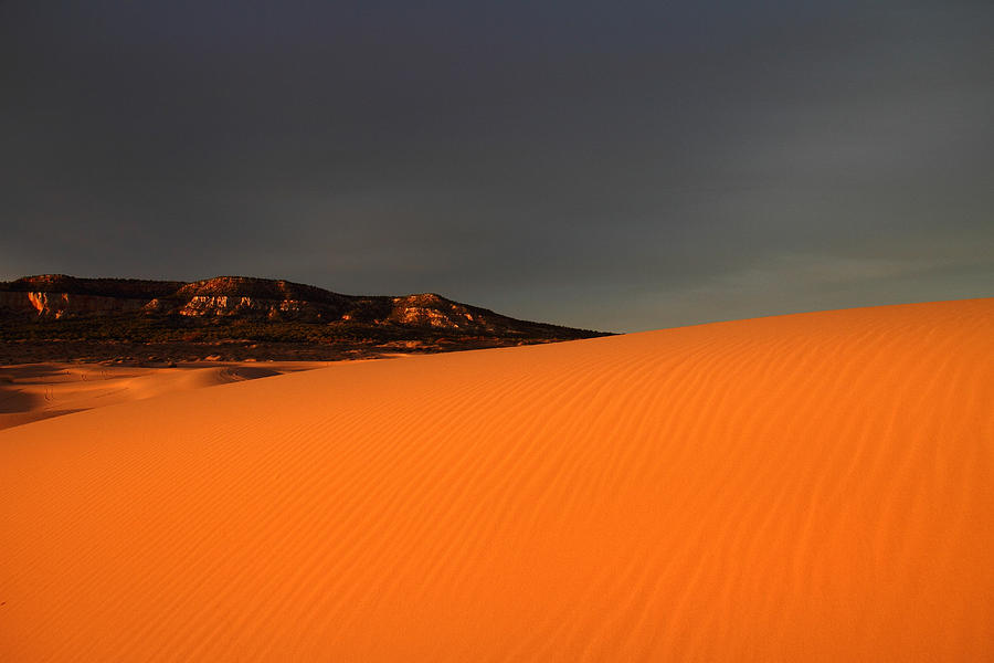 Coral Pink Sand dunes at sunset #2 Photograph by Pierre Leclerc Photography