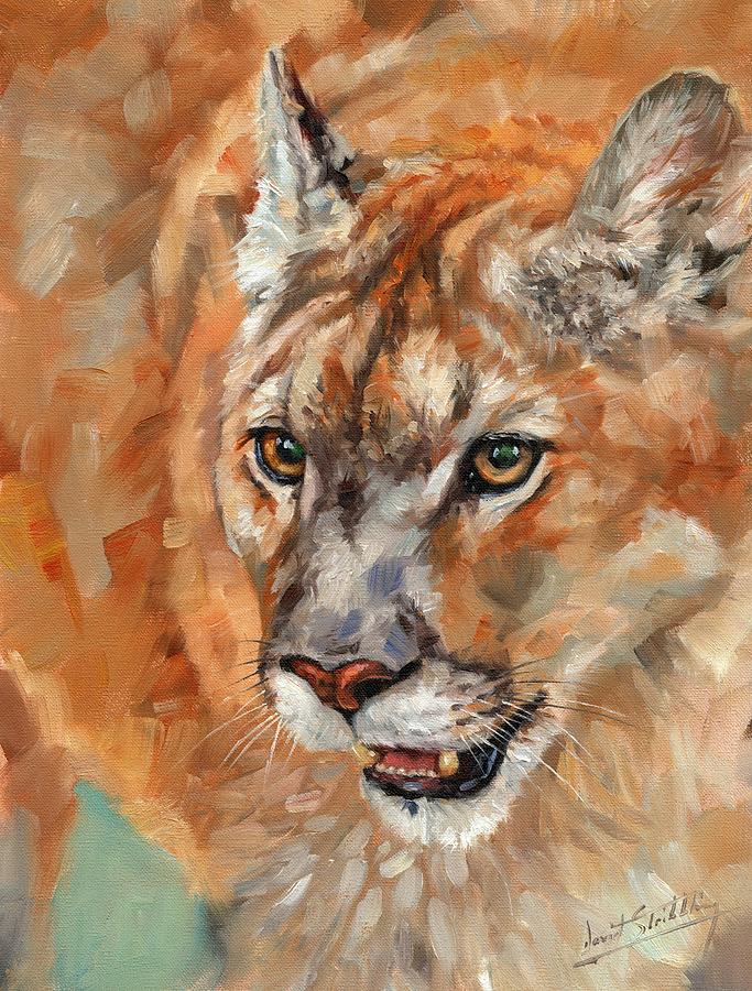 Animal Painting - Cougar #1 by David Stribbling