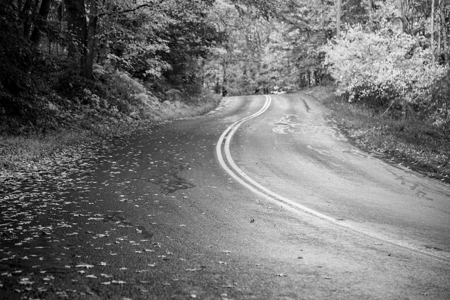 Black And White Photograph - Country Road #2 by Karol Livote