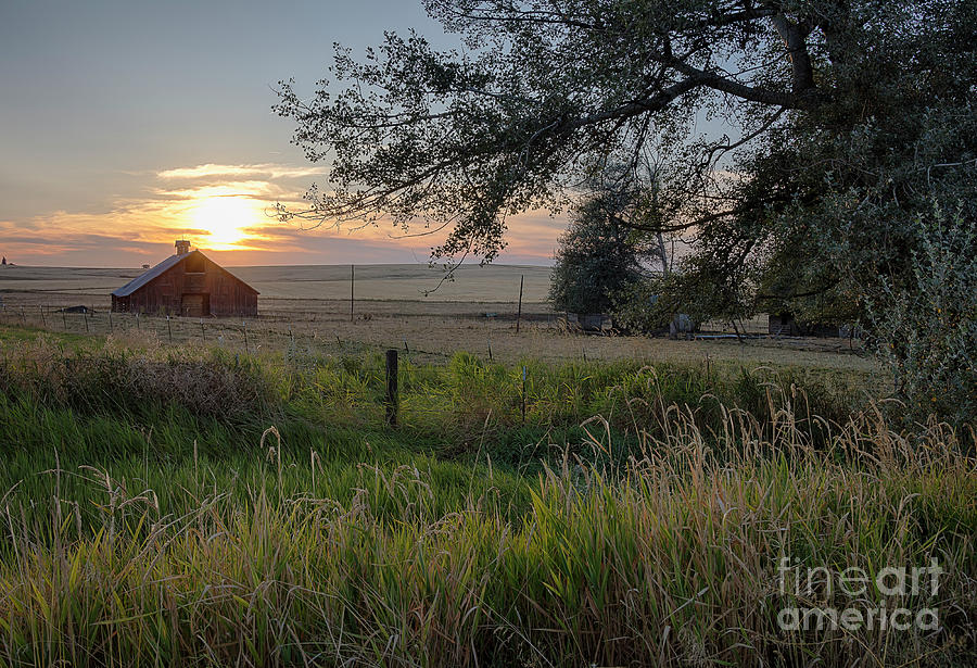 Country Sunset #2 Photograph by Idaho Scenic Images Linda Lantzy