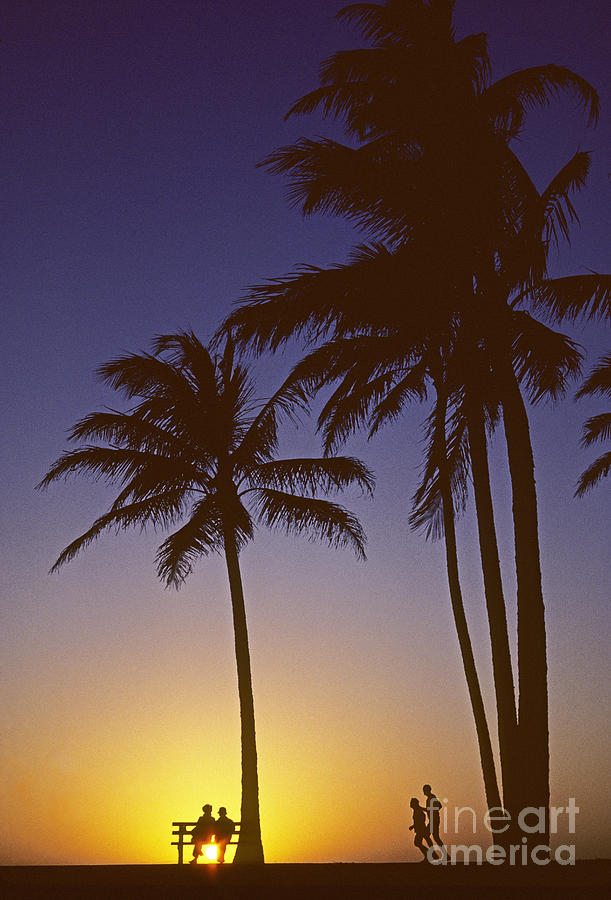 Paradise Photograph - Couple And Sunset Palms #2 by Carl Shaneff - Printscapes