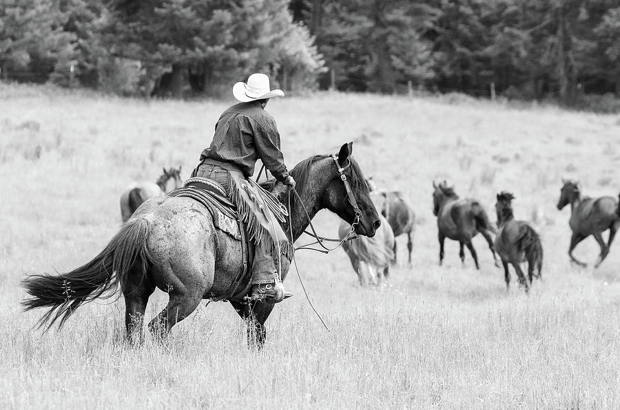 Cowboy Wrangler #2 Photograph by Athena Mckinzie
