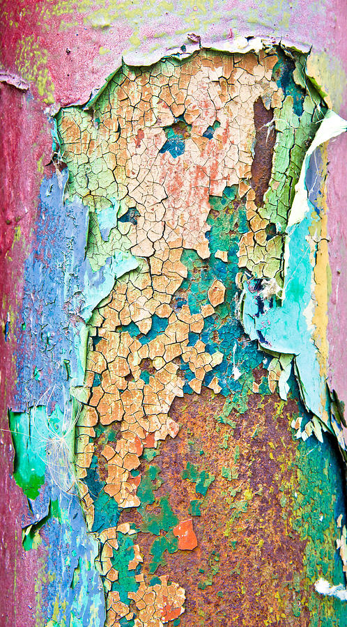 Vintage Photograph - Cracked paint #2 by Tom Gowanlock