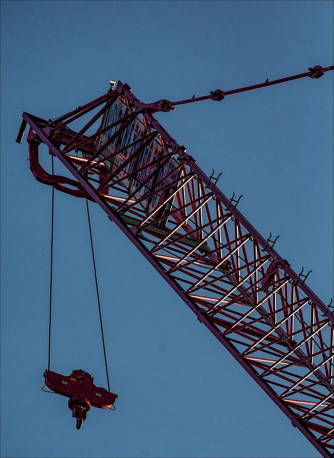 Crane #2 Photograph by Robert Ullmann