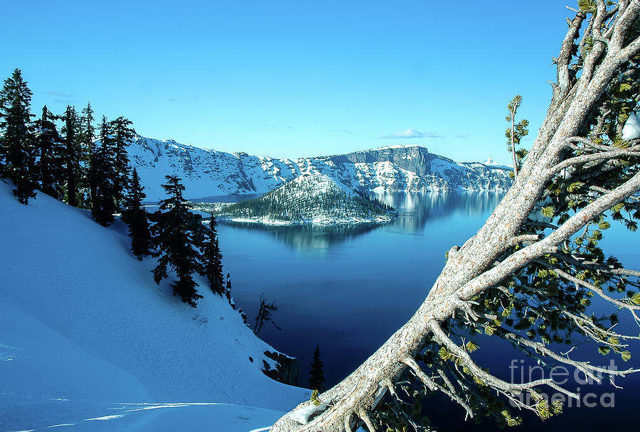 Crater Lake Winterscape #3 Photograph by Nick Boren