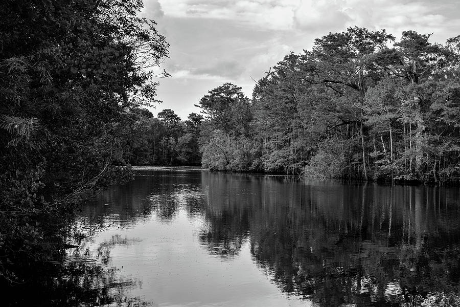 Creek  #2 Photograph by Marc Watkins