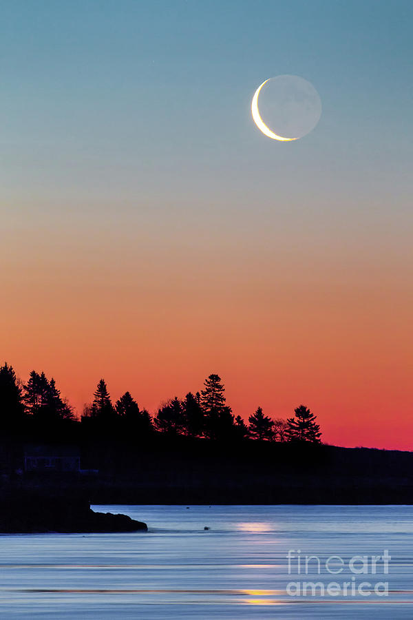 Crescent Moon #2 Photograph by Benjamin Williamson