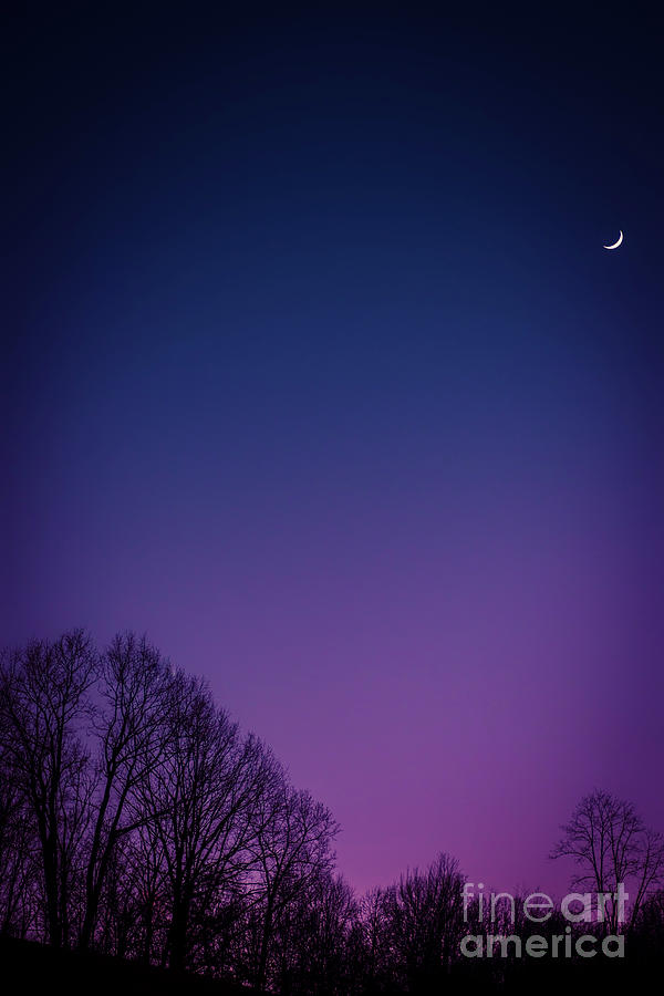 Crescent Moon  #2 Photograph by Thomas R Fletcher