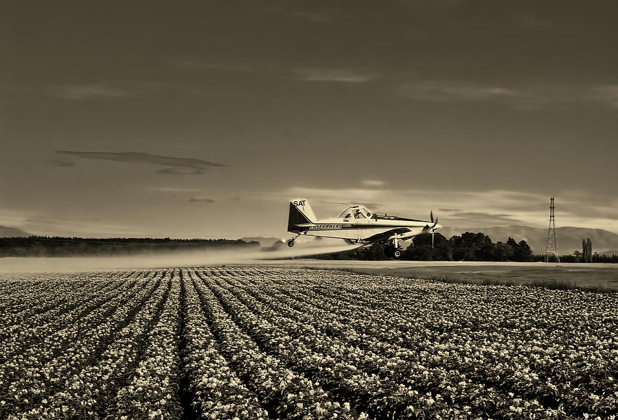 Crop Duster #2 Photograph by Mountain Dreams